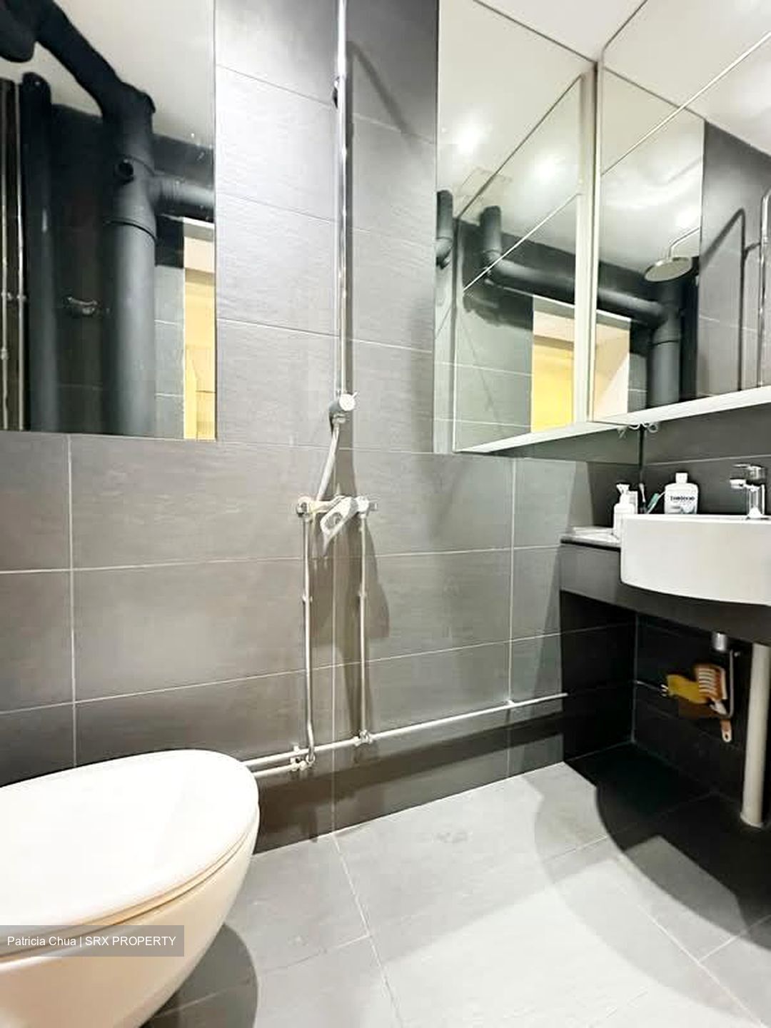 Blk 115 Sunset Way Residence (Clementi), HDB Executive #574503821